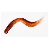4589474243404 Fujiko Mayu Tint R02 Mocha Brown Textutre
